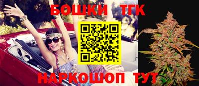 индика Волжский