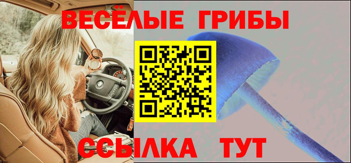 Бугульма  Галлюциногенные грибы ЛСД  Вход с VPN  Галлюциногенные грибы ЛСД 